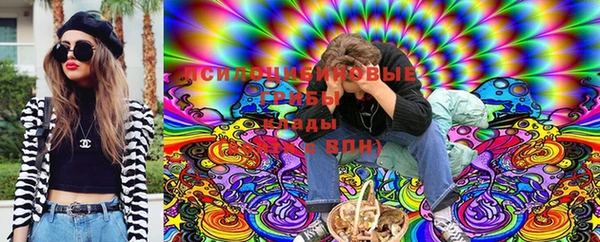 стафф Мегион