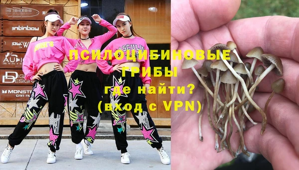 метамфетамин Медногорск