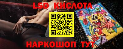 бошки Гатчина