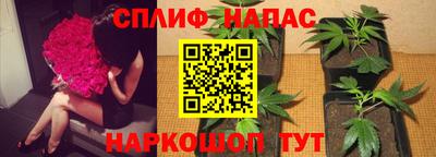 бошки Гатчина