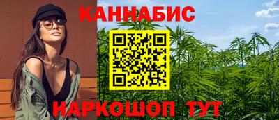 бошки Гатчина