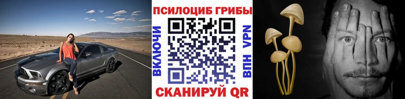 Галлюциногенные грибы Psilocybine cubensis  Можга 