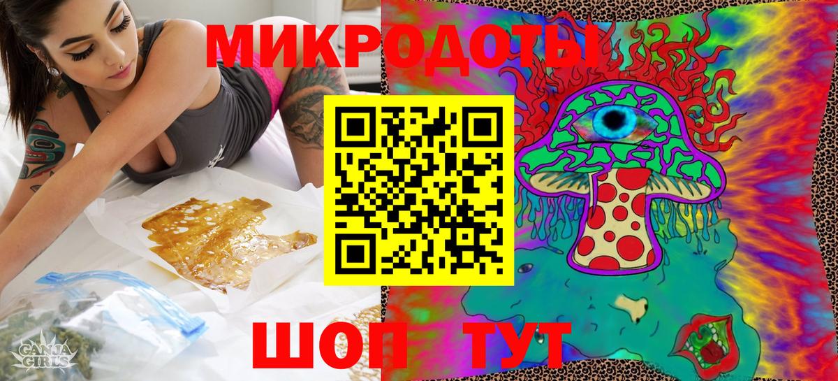 Можга  Псилоцибиновые грибы Psilocybe  Вход с VPN 